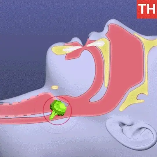 Alt image