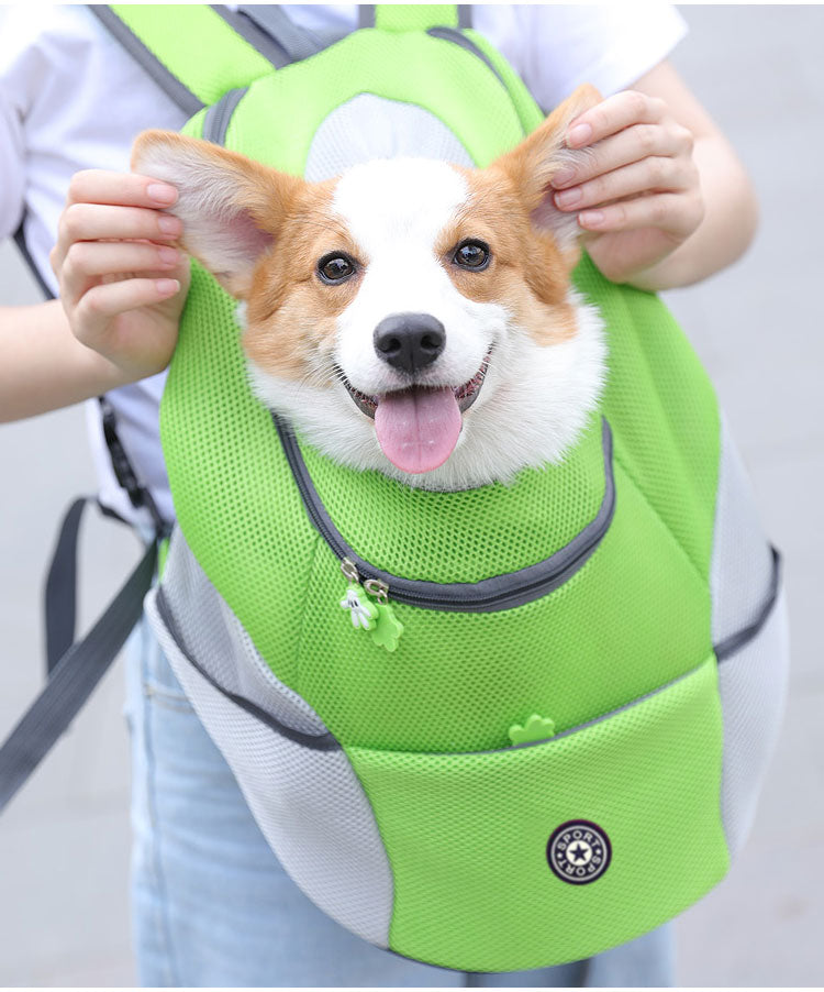 🎒Mochila para mascotas LuvnPaws™🐶