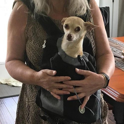 🎒Mochila para mascotas LuvnPaws™🐶