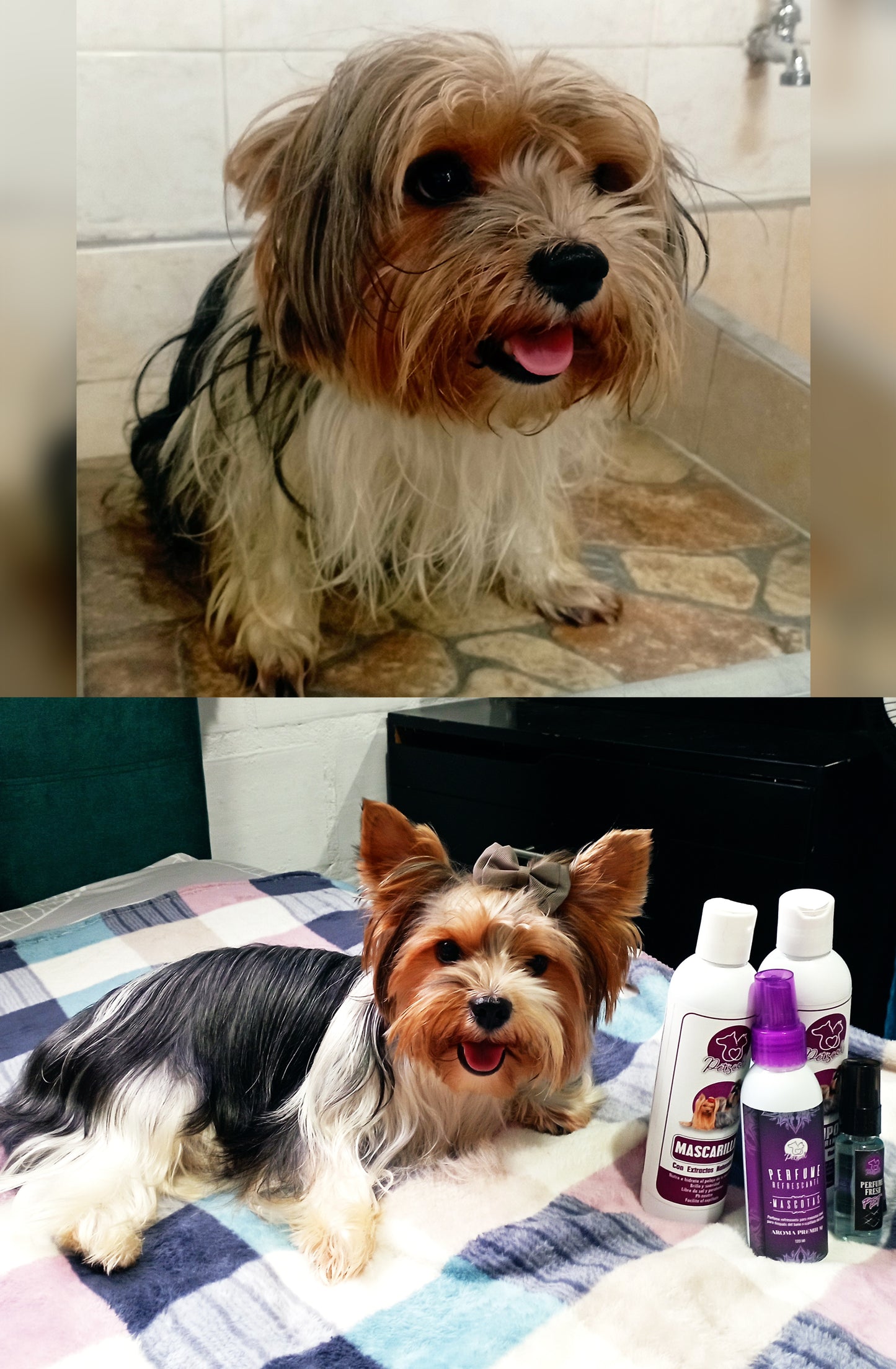 🐶ACONDICIONADOR PARA MASCOTAS😸