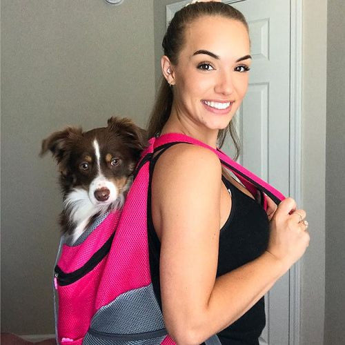 🎒Mochila para mascotas LuvnPaws™🐶