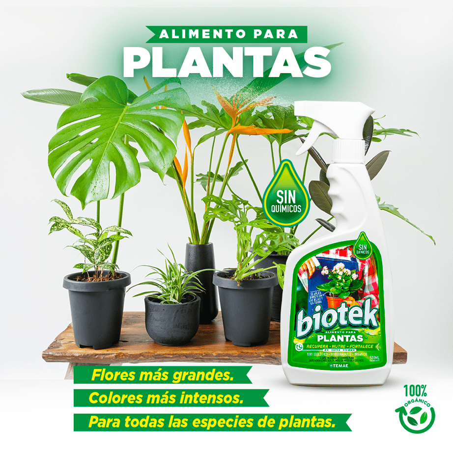 Alimento para plantas
