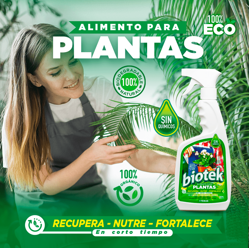 Alimento para plantas