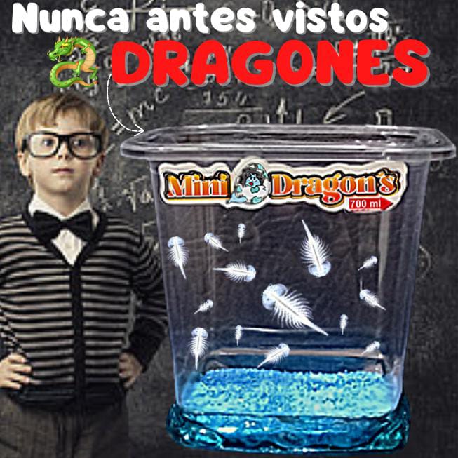 MINI DRAGON'S REALES 🐉