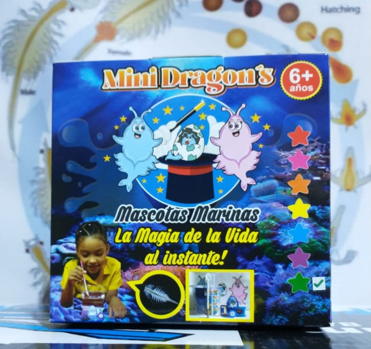 MINI DRAGON'S REALES 🐉