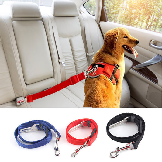 CINTURON DE SEGURIDAD PARA PERROS EN EL AUTOMOVIL Lock dog® 🐶🐾