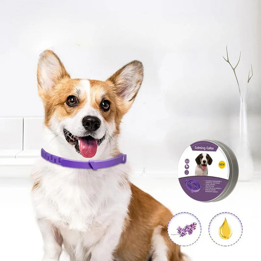 Collar calmante natural para perros y gatos Solace®