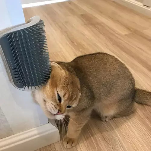 RASCADOR MASAJEADOR ATRAPA PELOS PARA GATO 😸