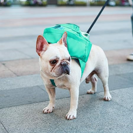 MOCHILA PARA PERRO BuddyBackpack®