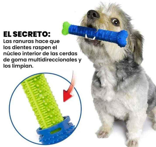 HUESO LIMPIA DIENTES para PERRO