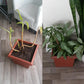 Alimento para plantas