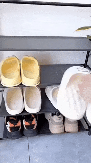 Organizador de zapatos y estante – La Iguana Shop